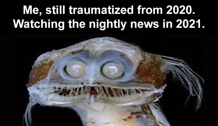sign - Me, still traumatized from 2020. Watching the nightly news in 2021.