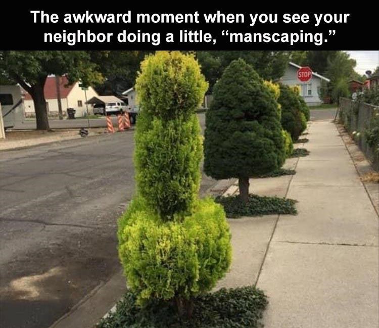 shrub - The awkward moment when you see your neighbor doing a little, manscaping." Stop
