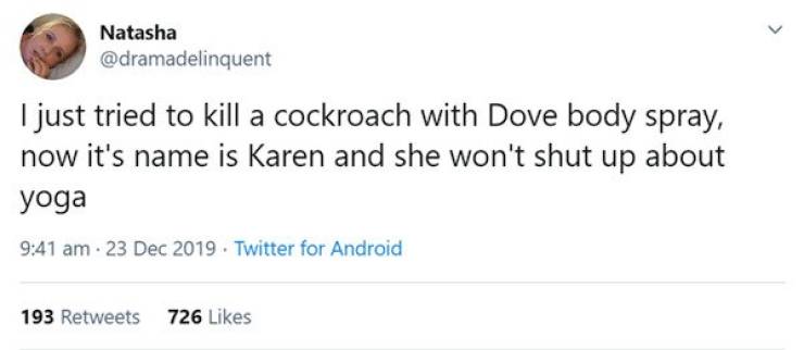 Natasha I just tried to kill a cockroach with Dove body spray, now it's name is Karen and she won't shut up about yoga . . Twitter for Android 193 726