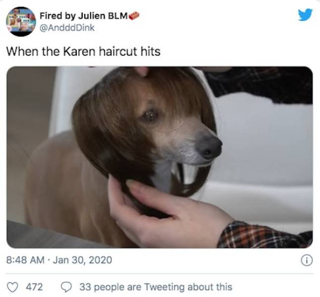 dog - Fired by Julien Blm Dink When the Karen haircut hits i 472 33 people are Tweeting about this