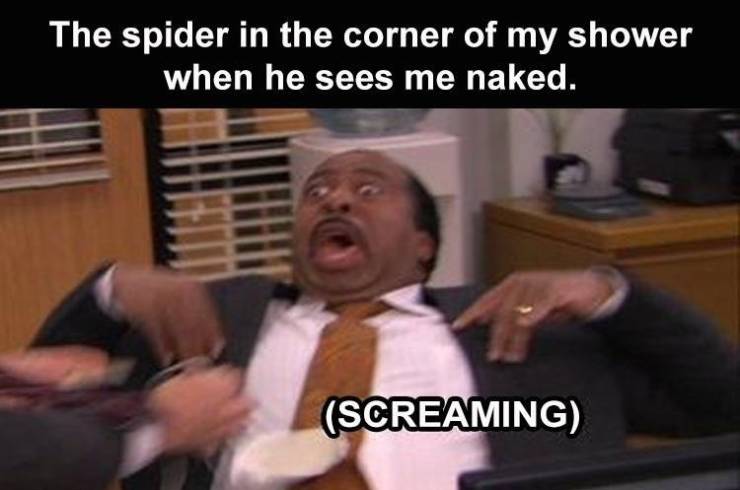office reaction - The spider in the corner of my shower when he sees me naked. Screaming