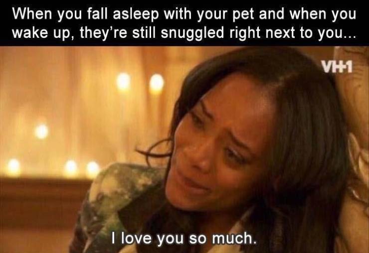 photo caption - When you fall asleep with your pet and when you wake up, they're still snuggled right next to you... VH1 I love you so much.