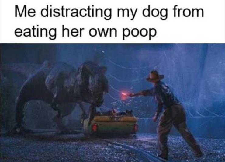 high resolution jurassic park movie - Me distracting my dog from eating her own poop