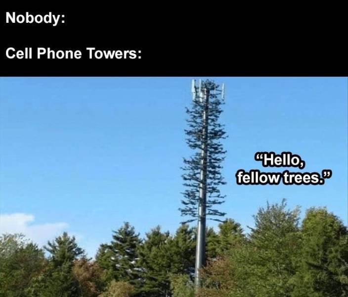 tree stealth tower - Nobody Cell Phone Towers "Hello, fellow trees."
