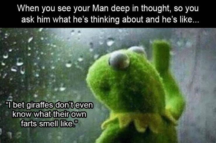 kermit the frog meme - When you see your Man deep in thought, so you ask him what he's thinking about and he's ... I bet giraffes don't even know what their own farts smell ."