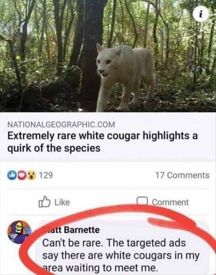 Leucism - Nationalgeographic.Com Extremely rare white cougar highlights a quirk of the species 00129 17 Comment Ciatt Barnette Can't be rare. The targeted ads say there are white cougars in my area waiting to meet me.