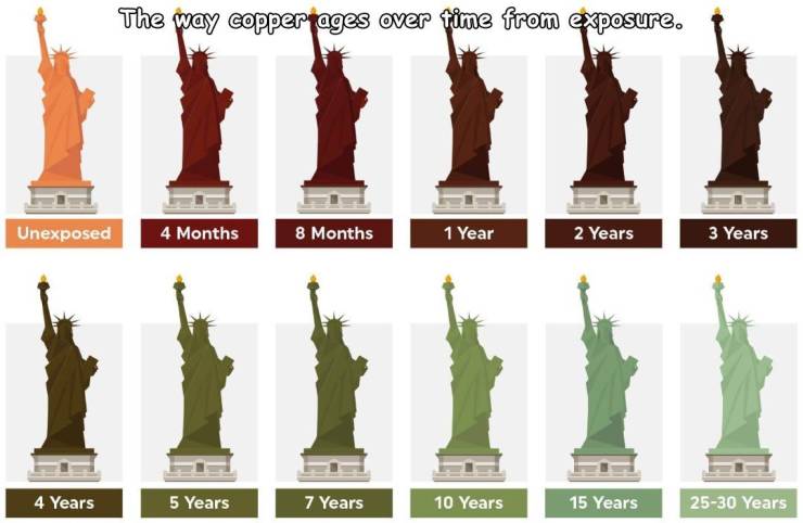 statue of liberty - The way copperpages over time from exposure. Unexposed 4 Months 8 Months 1 Year 2 Years 3 Years 4 Years 5 Years 7 Years 10 Years 15 Years 2530 Years