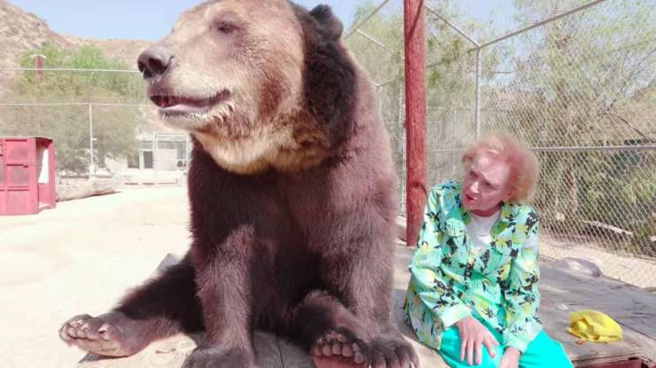 betty white with bear