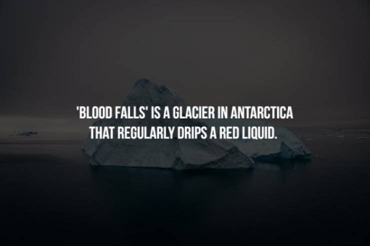 sports teams and the mets - "Blood Falls' Is A Glacier In Antarctica That Regularly Drips A Red Liquid.