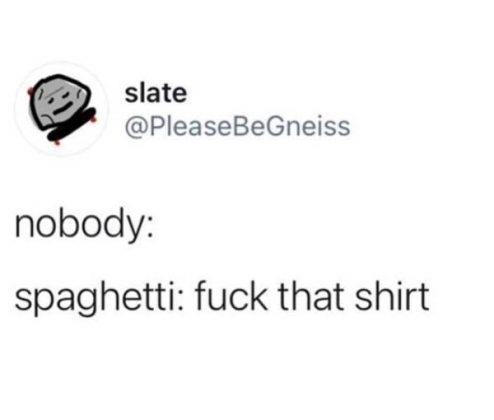 wcc flight attendant school - slate nobody spaghetti fuck that shirt