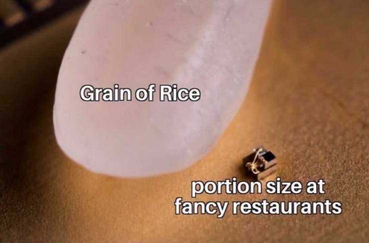 mr hill you have no - Grain of Rice portion size at fancy restaurants