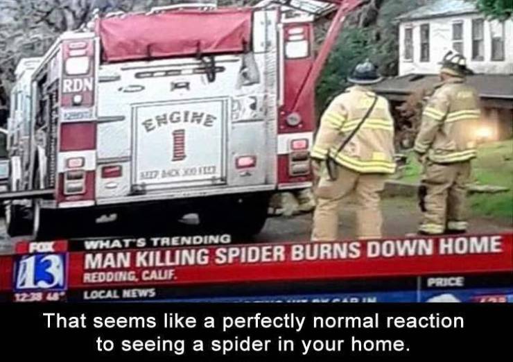 percy jackson memes funny - Rdn Engihe Nom For What'S Trending 13 Man. Killing Spider Burns Down Home Price Local News That seems a perfectly normal reaction to seeing a spider in your home.