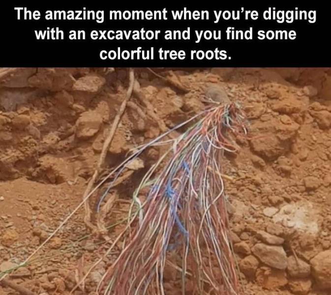 call before you dig meme - The amazing moment when you're digging with an excavator and you find some colorful tree roots.