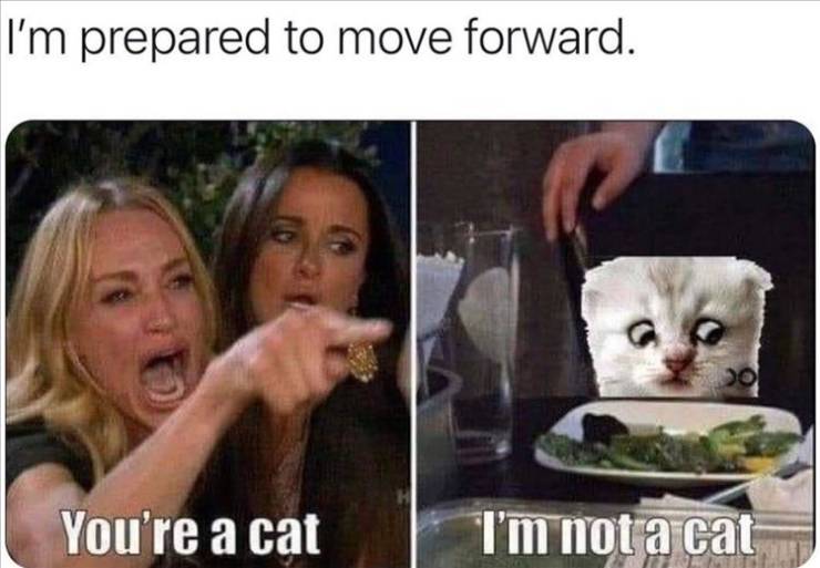 lady yelling at cat - I'm prepared to move forward. You're a cat I'm not a cat
