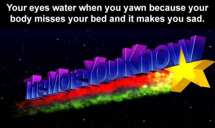 duh meme - Your eyes water when you yawn because your body misses your bed and it makes you sad. Avon Touk now