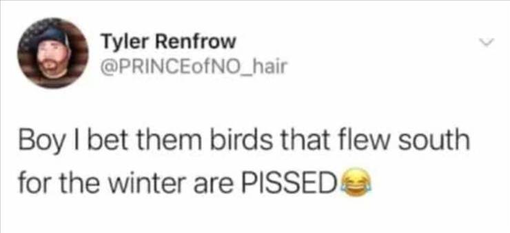 arguing on the internet - Tyler Renfrow Boy I bet them birds that flew south for the winter are Pissed