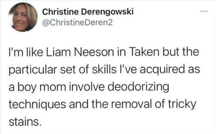 sometimes i want love everyday i want money - Christine Derengowski Deren2 I'm Liam Neeson in Taken but the particular set of skills I've acquired as a boy mom involve deodorizing techniques and the removal of tricky stains.