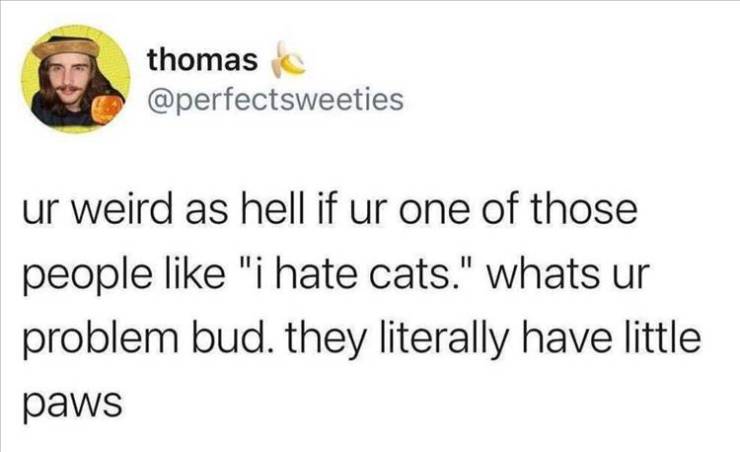 period could have been an email meme - thomas ur weird as hell if ur one of those people "i hate cats." whats ur problem bud. they literally have little paws