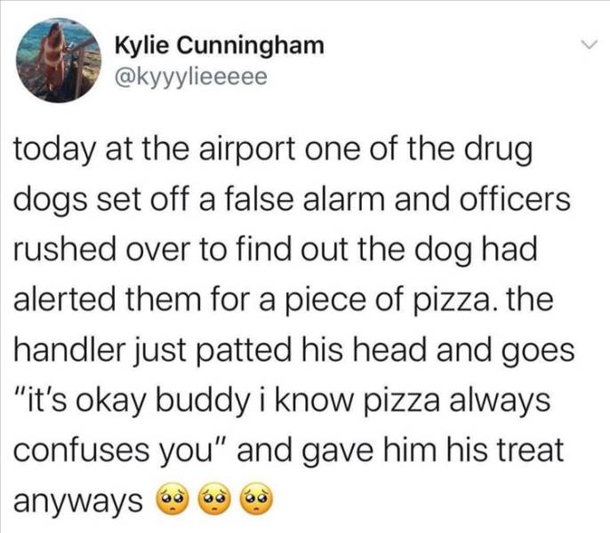 quotes - Kylie Cunningham today at the airport one of the drug dogs set off a false alarm and officers rushed over to find out the dog had alerted them for a piece of pizza. the handler just patted his head and goes "it's okay buddy i know pizza always co