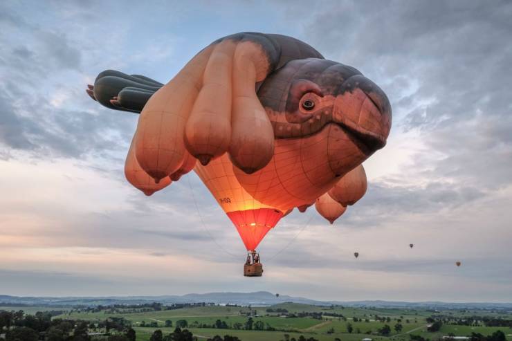 sky whale balloon