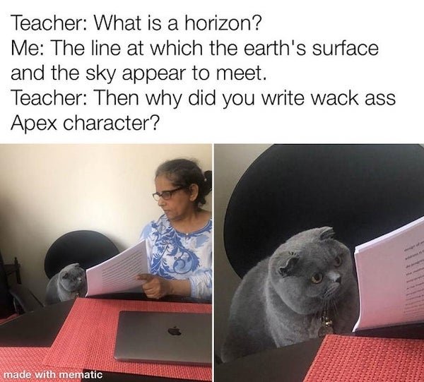 funny gaming memes - then why did you write meme - Teacher What is a horizon? Me The line at which the earth's surface and the sky appear to meet. Teacher Then why did you write wack ass Apex character? made with mematic