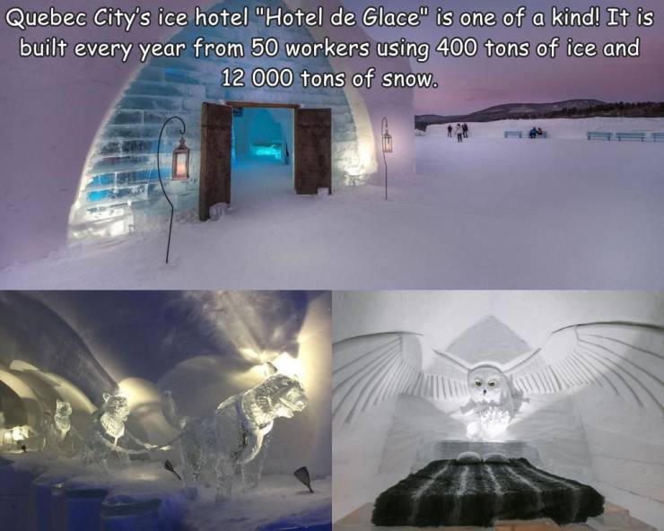 architecture - Quebec City's ice hotel "Hotel de Glace" is one of a kind! It is built every year from 50 workers using 400 tons of ice and 12 000 tons of snow.