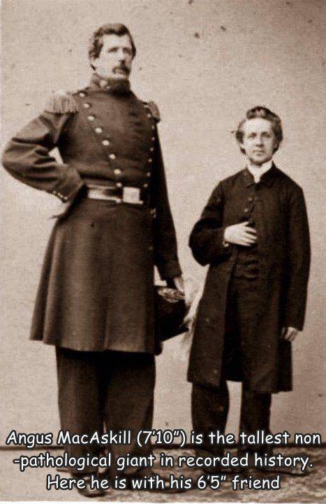 standing - Angus MacAskill 7'10" is the tallest non pathological giant in recorded history. Here he is with his 6'5" friend