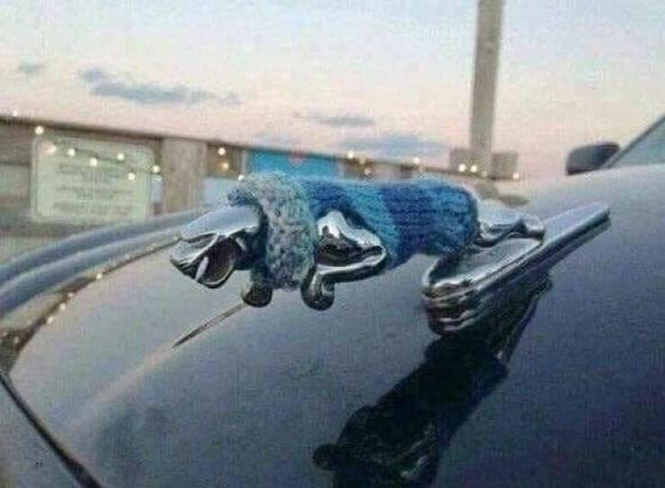 jaguar car knitted sweater