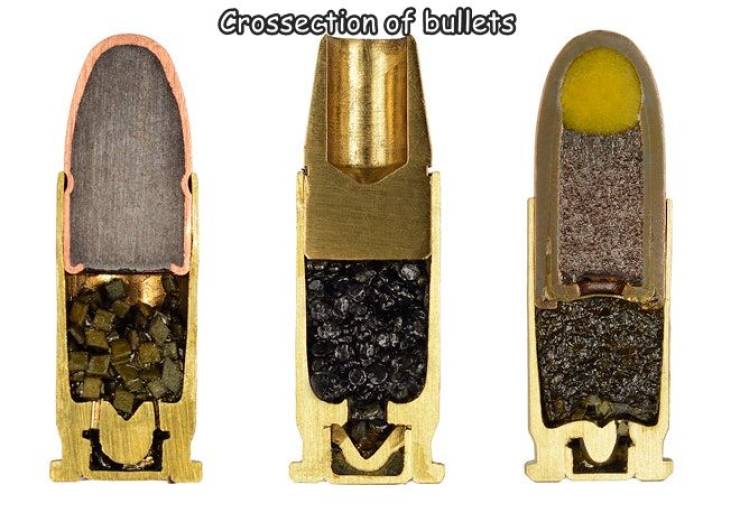 random pics and cool photos - bullet cross section - Crossection of bullets