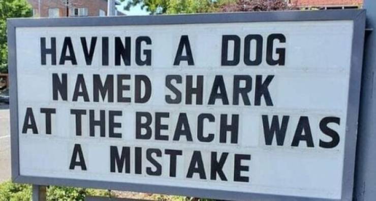 funny pics and memes - street sign - Having A Dog Named Shark At The Beach Was A Mistake