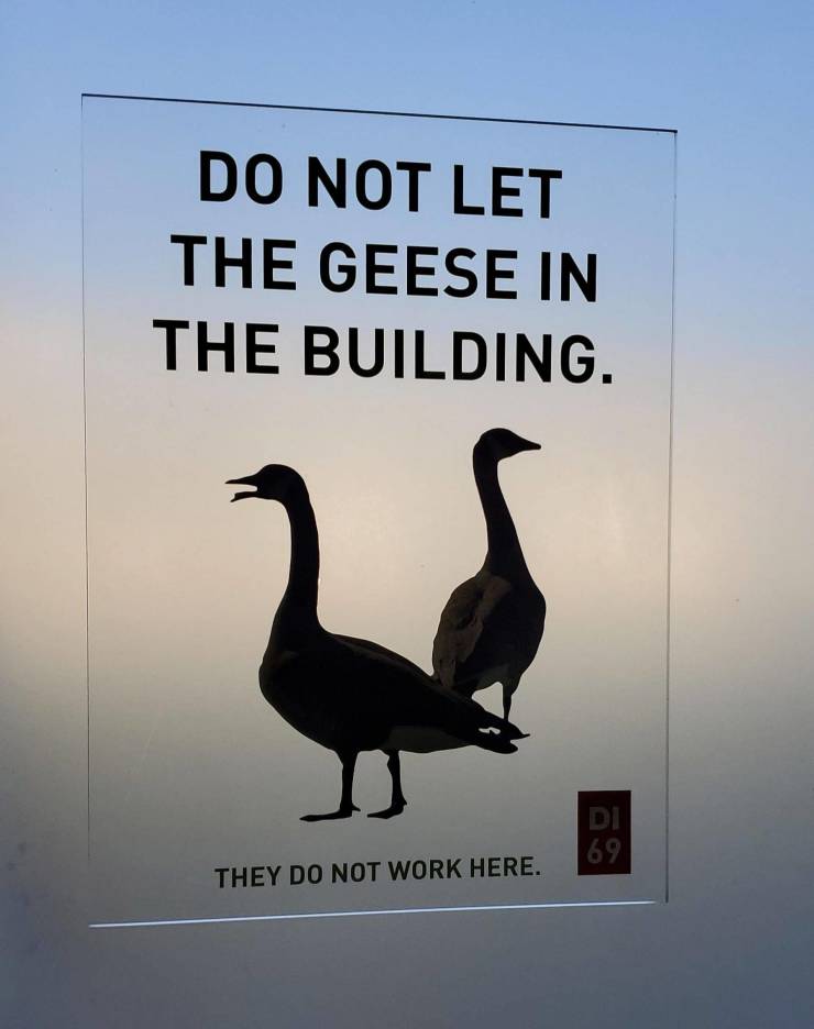funny pics and memes - dont let the geese - Do Not Let The Geese In The Building. Di 69 They Do Not Work Here.