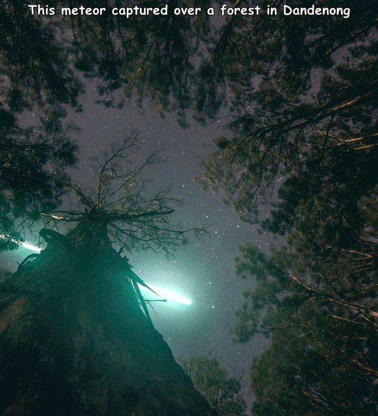 nature - This meteor captured over a forest in Dandenong
