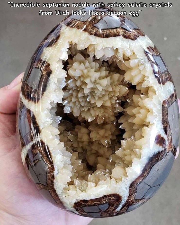 dragon egg geode - "Incredible septarian nodule with spikey calcite crystals from Utah looks a dragon egg"