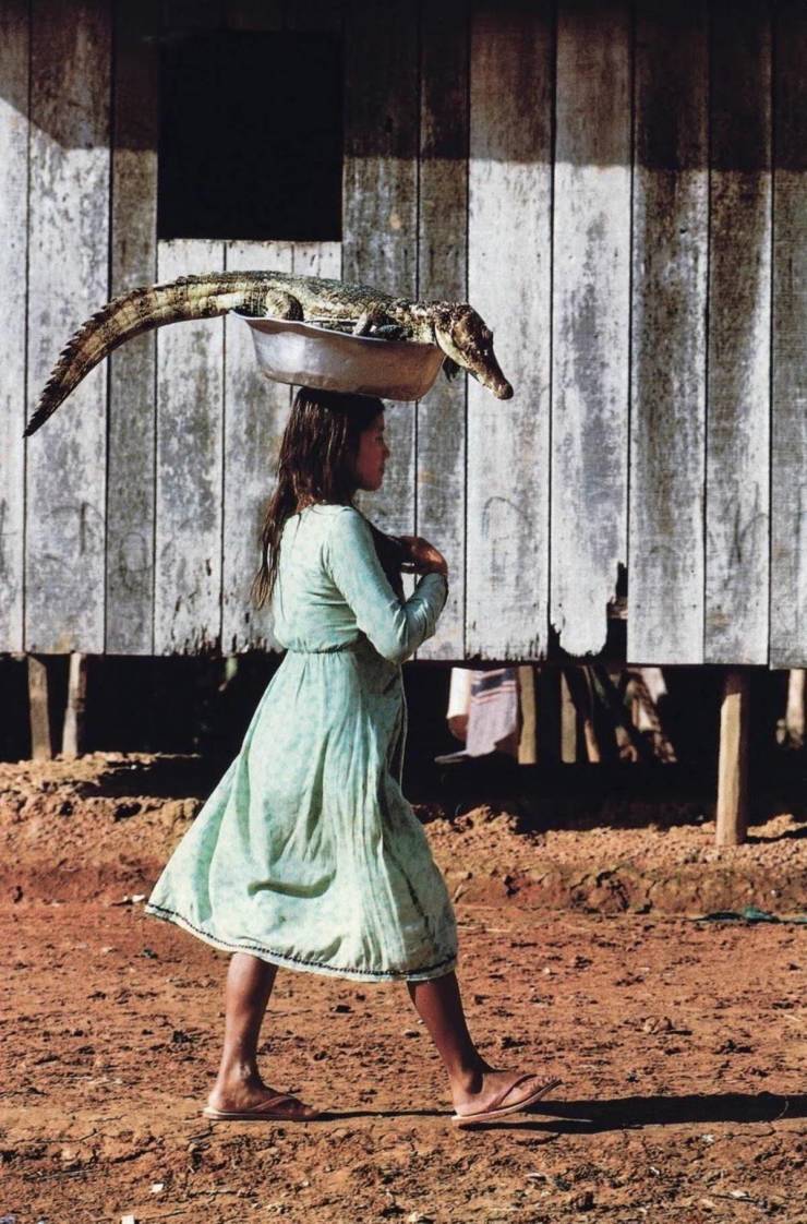 tukuna indian girl carriens a caiman