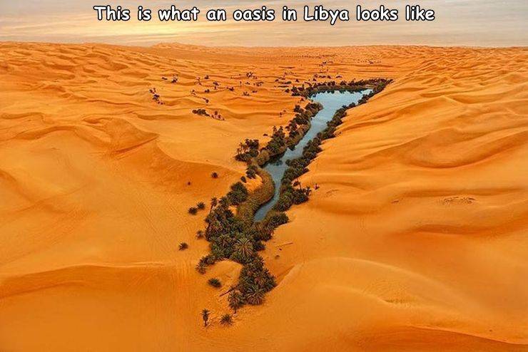 beautiful libya - This is what an oasis in Libya looks