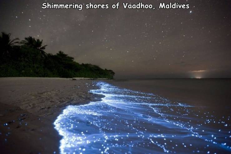juhu chowpatty beach, mumbai - Shimmering shores of Vaadhoo, Maldives