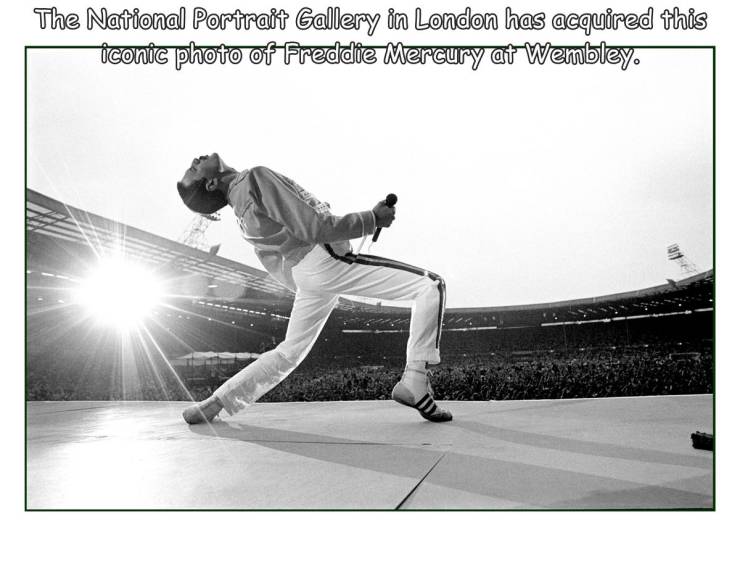 neal preston freddie mercury - The National Portrait Gallery in London has acquired this iconic photo of Freddie Mercury at Wembley.