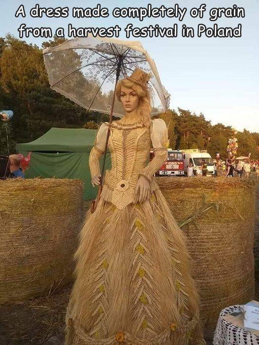 costume design - A dress made completely of grain from a harvest festival in Poland le ... Las