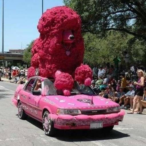 poodles in cars