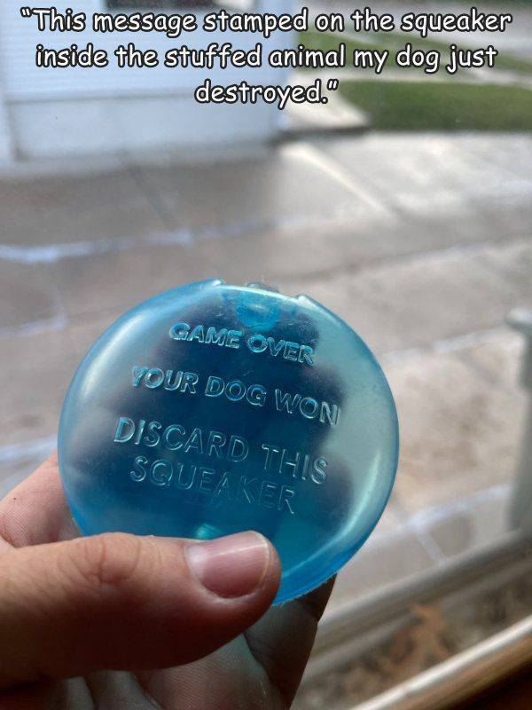 water - "This message stamped on the squeaker inside the stuffed animal my dog just destroyed." Game Over Your Dog Won Discard This Scue! Ker
