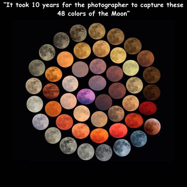 48 different colors of the moon - "It took 10 years for the photographer to capture these 48 colors of the Moon"