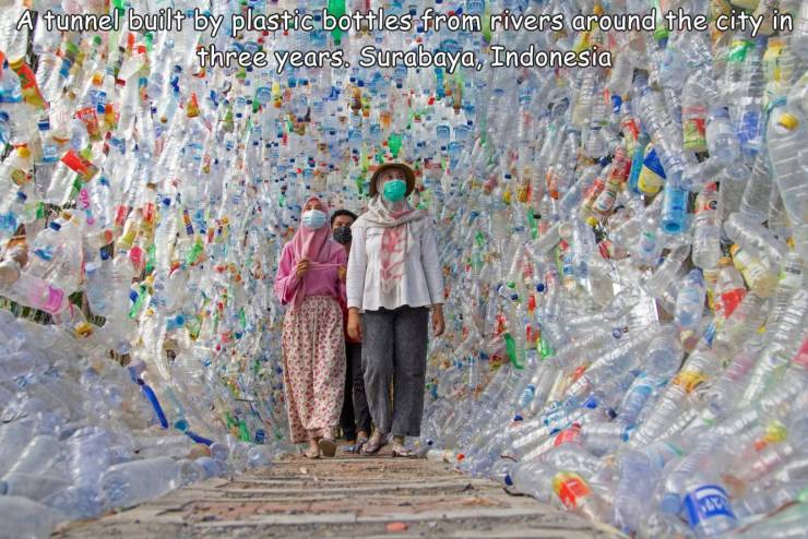 funny photos - Plastic - A tunnel built by plastic bottles from rivers around the city in three years. Surabaya, Indonesia 2
