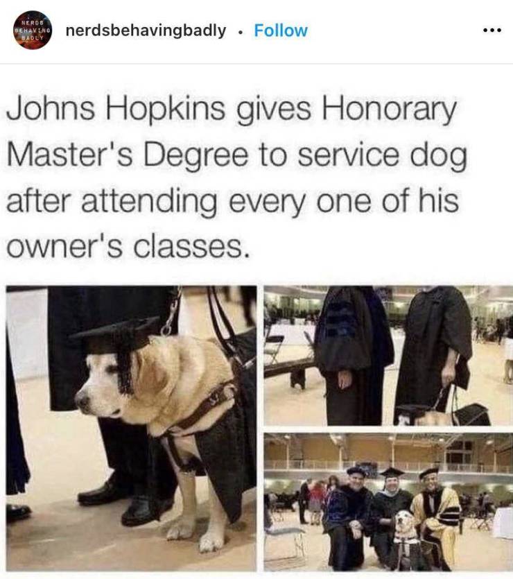 funny photos - service dog getting master degree - Nerde Behavino Badly nerdsbehavingbadly ... Johns Hopkins gives Honorary Master's Degree to service dog after attending every one of his owner's classes.