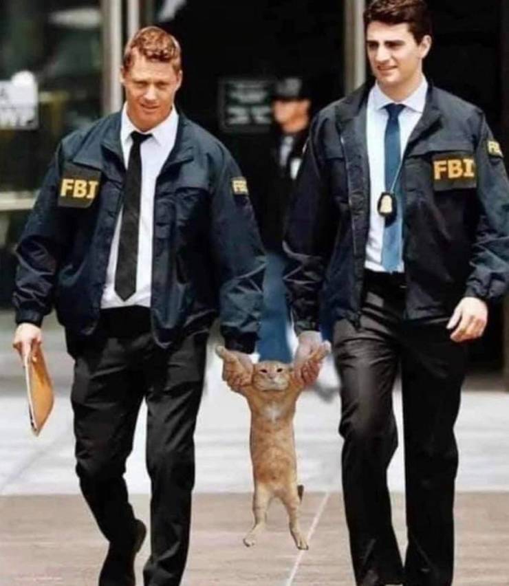 funny photos - become an fbi agent - R Fbi Fb