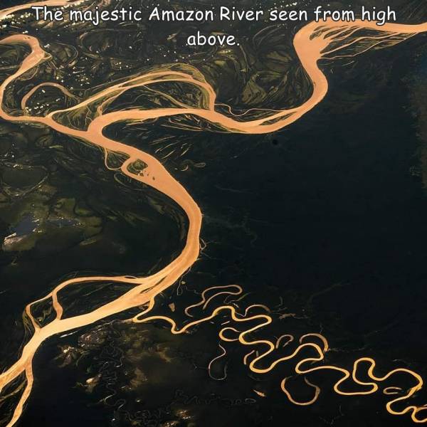 amazon river - The majestic Amazon River seen from high above. forza Zc