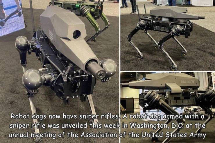Robot - Robot dogs now have sniper rifles! A robot dog armed with a sniper rifle was unveiled this week in Washington, D.C. at the annual meeting of the Association of the United States Army