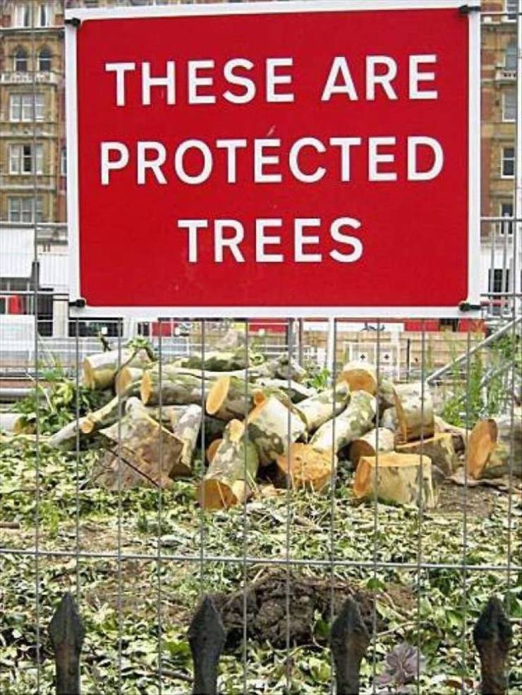 funny photos - you had one job signs - Bee These Are Ei Protected Trees