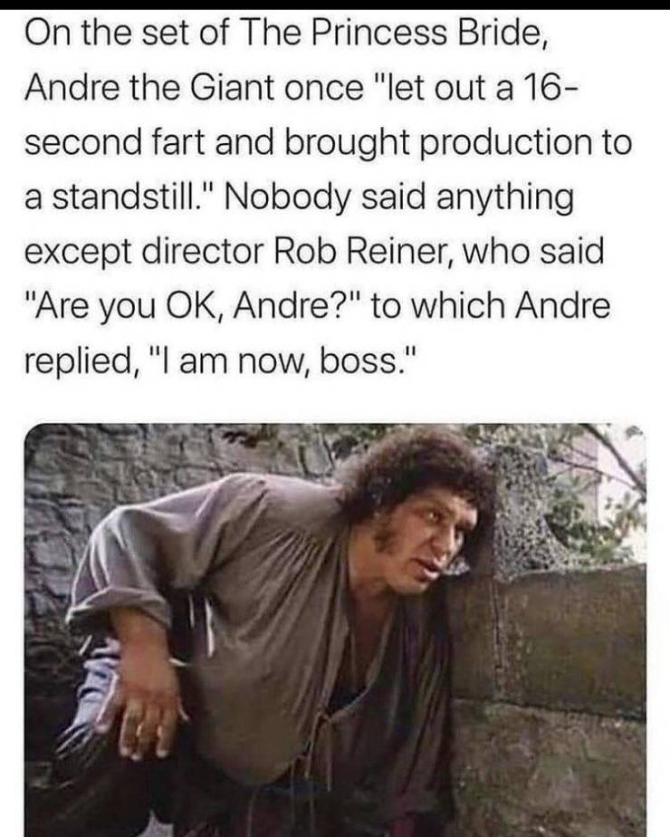 fun randomsandre the giant farts - On the set of The Princess Bride, Andre the Giant once "let out a 16 second fart and brought production to a standstill." Nobody said anything except director Rob Reiner, who said "Are you Ok, Andre?" to which Andre repl