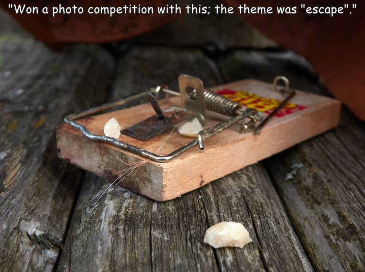 mousetrap - "Won a photo competition with this; the theme was "escape"."