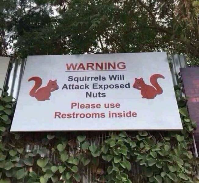 warning squirrels will attack exposed nuts - 2 Warning Squirrels Will Attack Exposed Nuts Please use Restrooms inside S